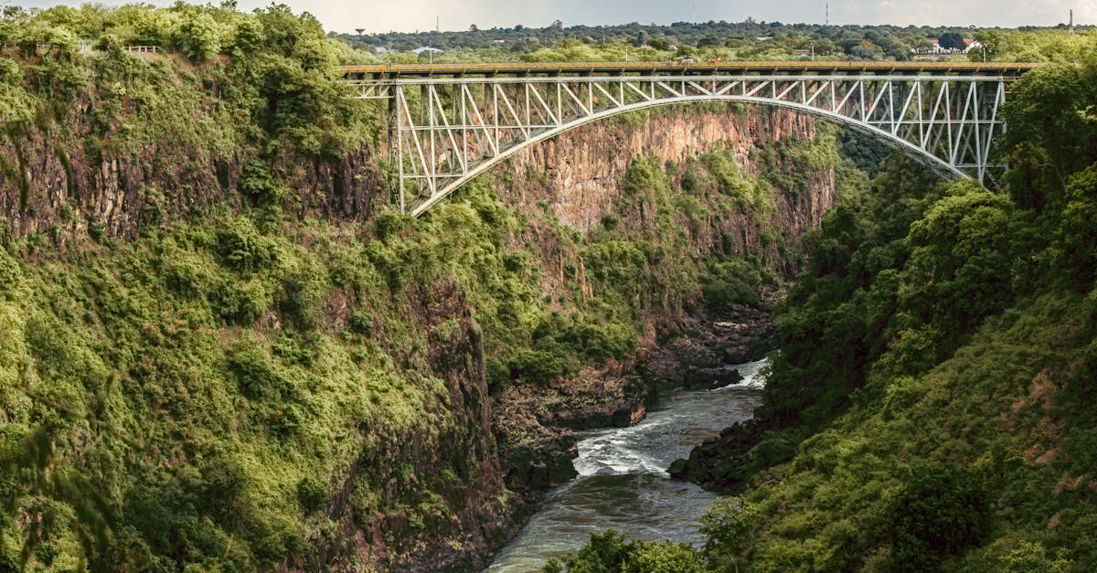 explore the stunning landscapes and rich wildlife of africa on an unforgettable river cruise adventure. cruise through the heart of the continent, witnessing breathtaking views and encountering diverse cultures along the way.