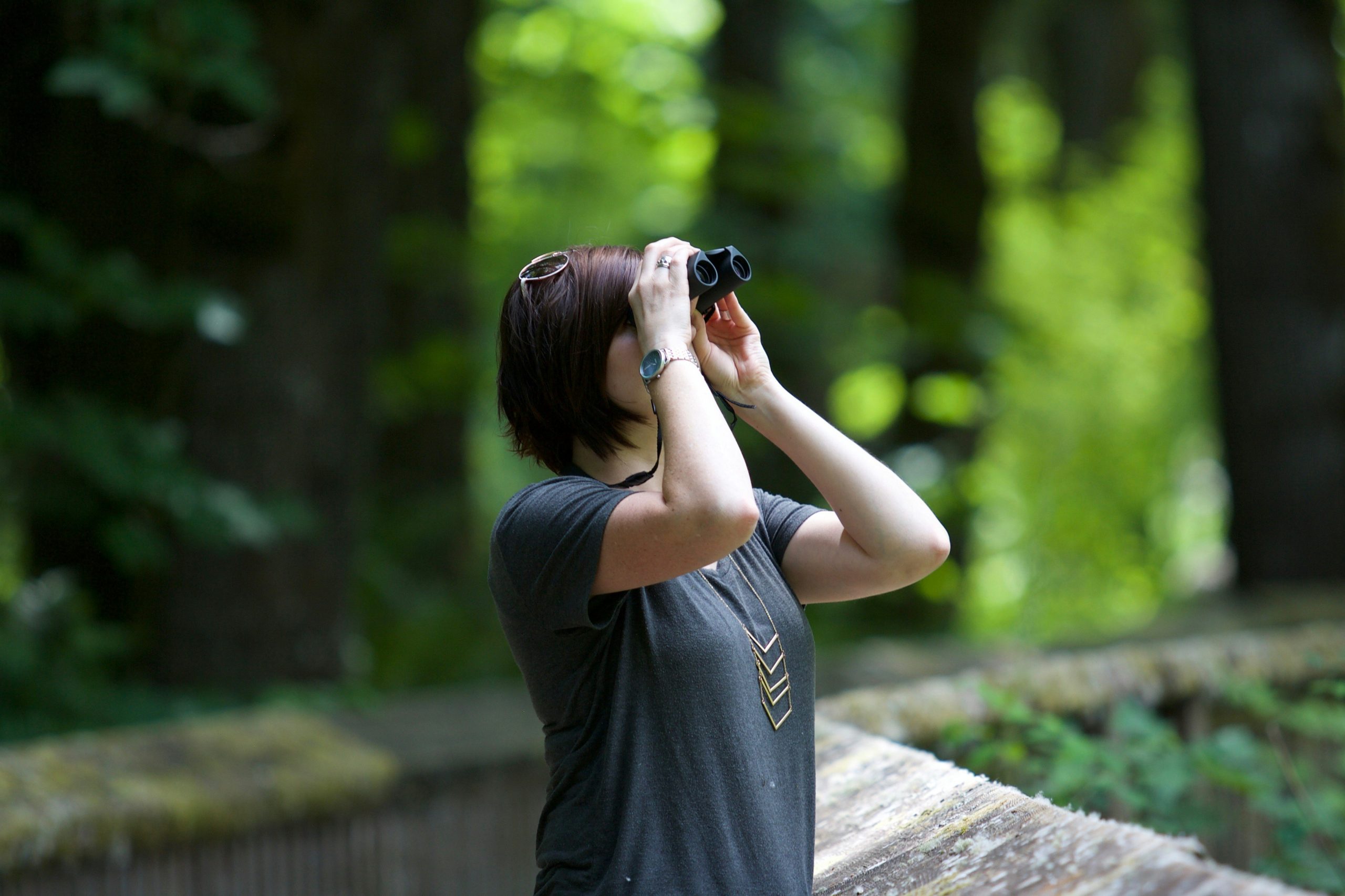 discover the joy of bird watching with our informative guides and helpful tips for spotting and identifying a wide variety of birds in their natural habitats.
